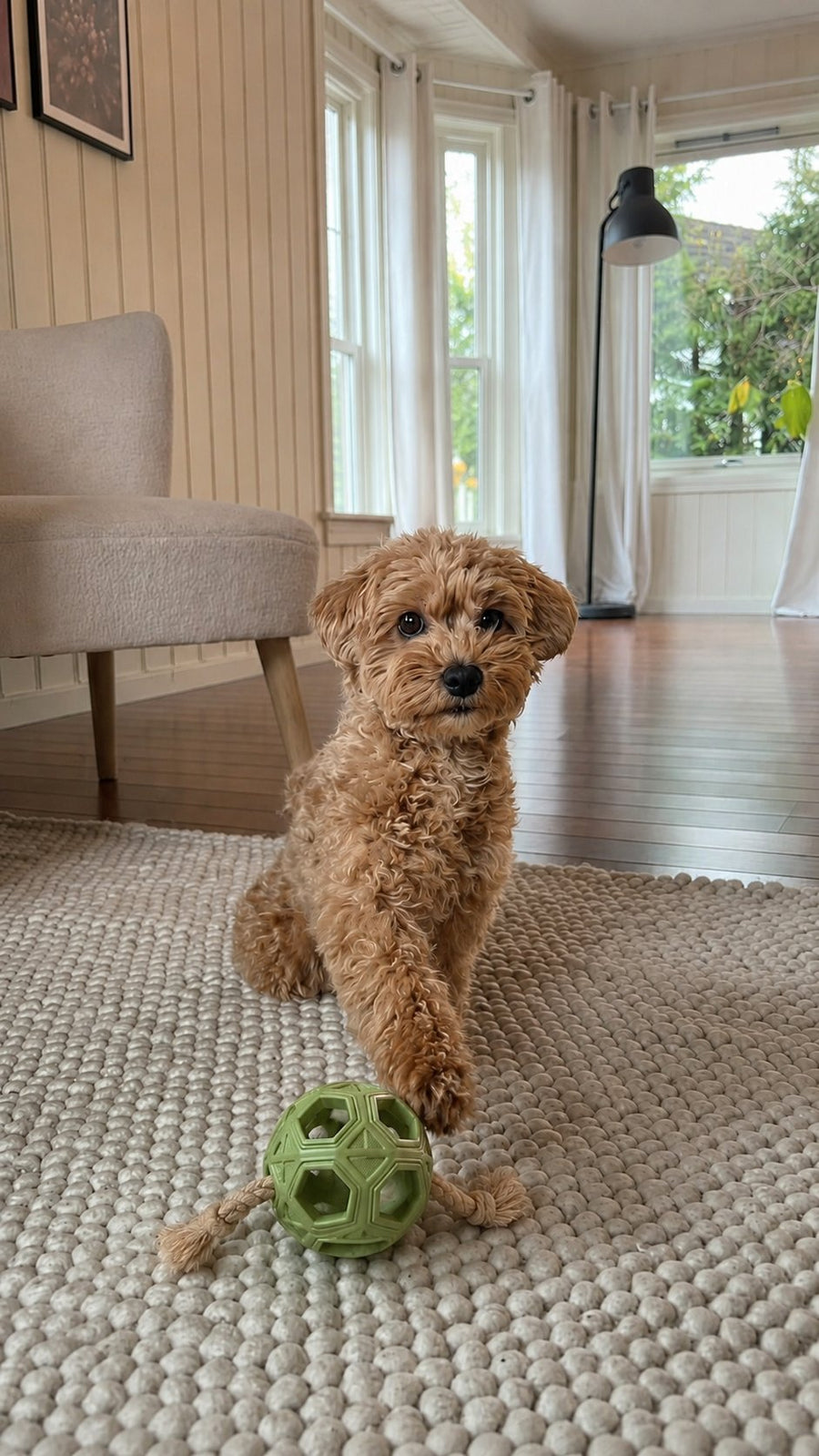 An Oodle playing with the Little Oodle Play Pack from The Oodle Club