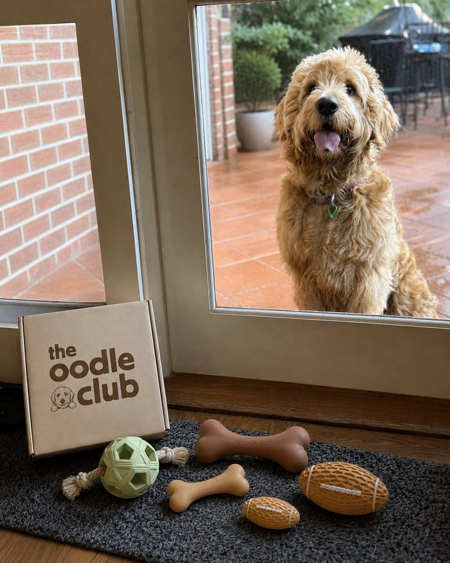 An Oodle playing with the Little Oodle Play Pack from The Oodle Club