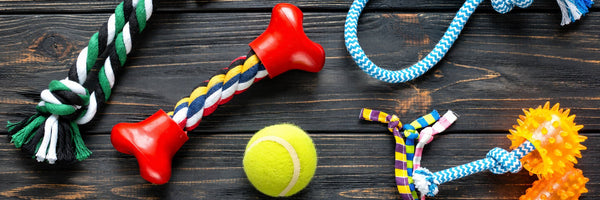 Dog Toy Types Explained: What to Choose, What to Watch and What Fits Your Oodle