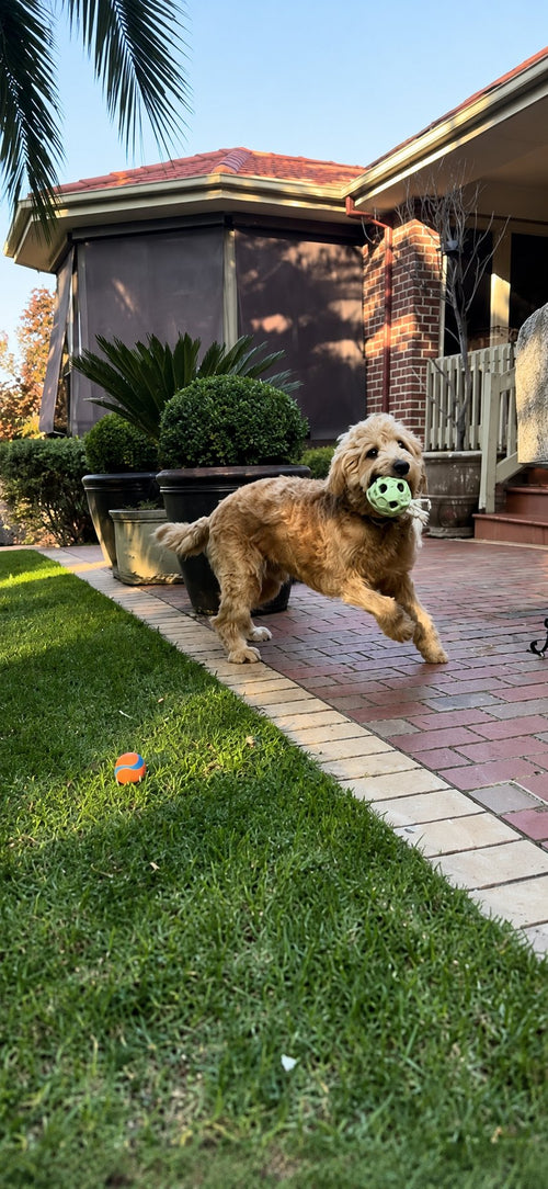 Tug & Tumble