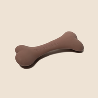 Everyday Big Chew Bone