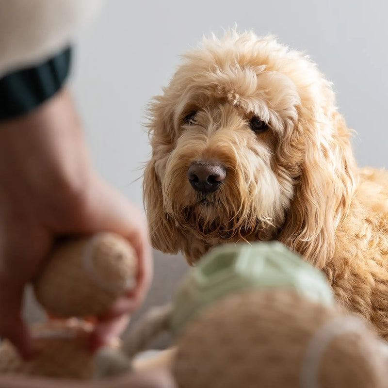 Natural rubber toys