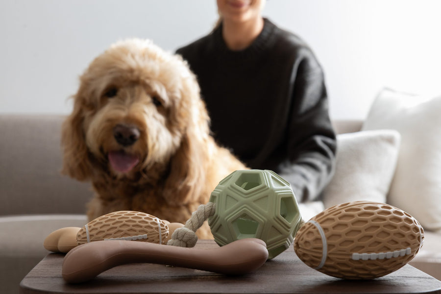 An Oodle playing with the Tug and Tumble from The Oodle Club