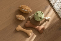 Pawfect Oodle Play Pack